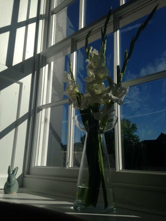 Lanercost Country B&B Brampton  Exteriör bild