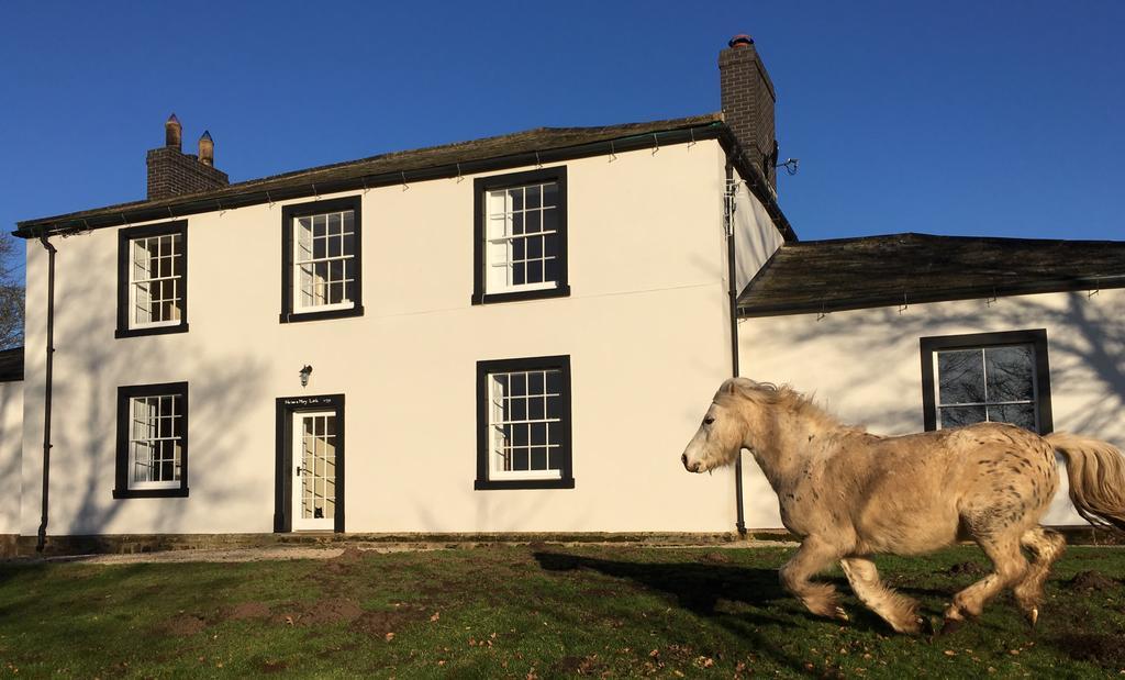Lanercost Country B&B Brampton  Exteriör bild