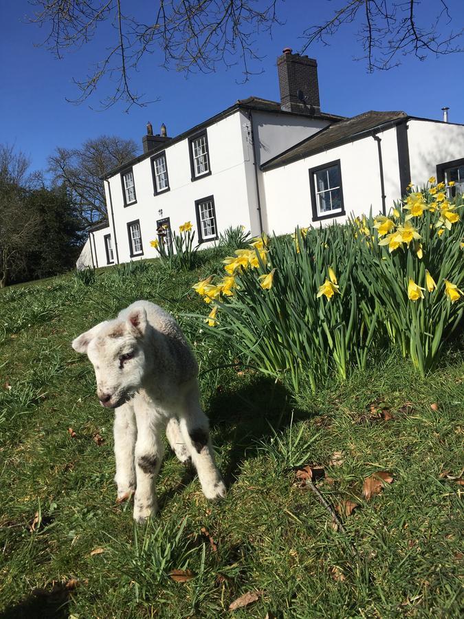 Lanercost Country B&B Brampton  Exteriör bild